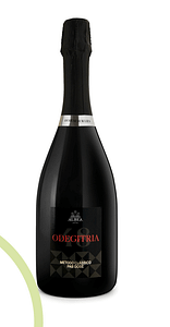 Blog yespuglia.com enoteca online più innovativa di puglia - Articolo blog Cantine Albea 1905_5